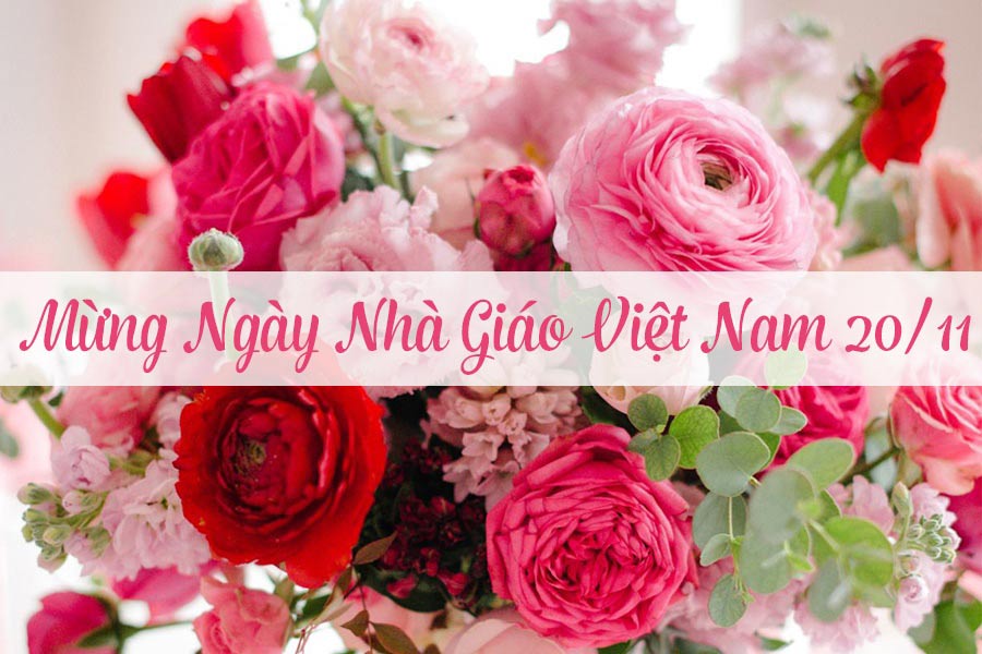 Những bài phát biểu ngày 20 tháng 11 hay, chuẩn nhất Những bài phát biểu ngày 20 tháng 11 hay, chuẩn nhất
