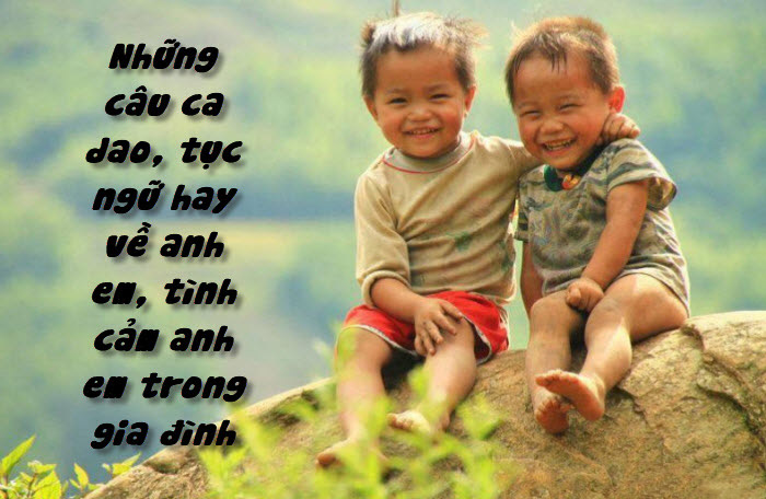 Những câu ca dao tục ngữ nói về tình anh em hay