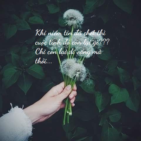 Stt mất niềm tin