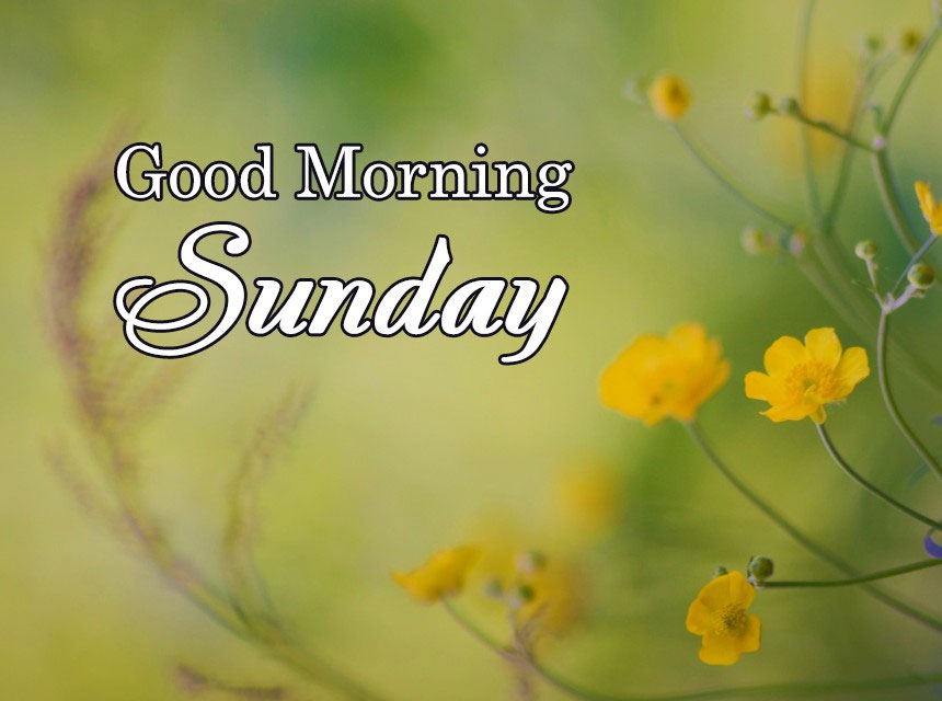 Những hình ảnh chào ngày mới Chủ nhật đẹp Những hình ảnh chào ngày mới Chủ nhật đẹp