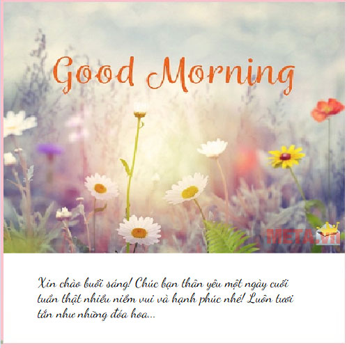 Lời chúc cuối tuần bằng hình ảnh đẹp Lời chúc cuối tuần bằng hình ảnh đẹp