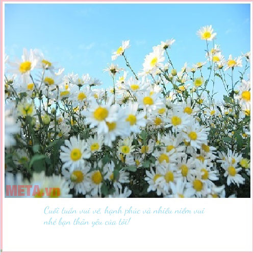 Lời chúc cuối tuần bằng hình ảnh đẹp Lời chúc cuối tuần bằng hình ảnh đẹp