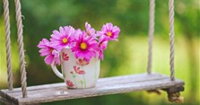 Lời chúc cuối tuần thứ 7, Chủ nhật vui vẻ bằng hình ảnh đẹp