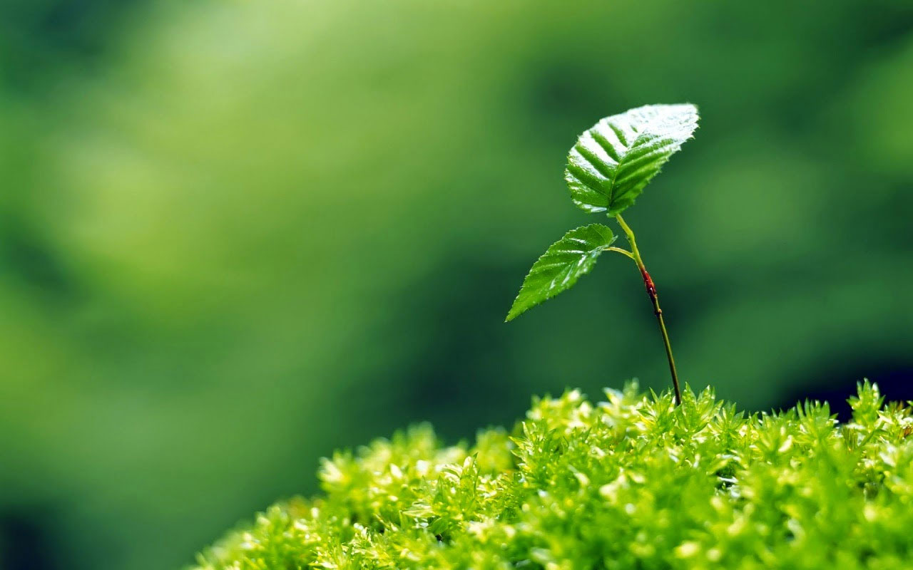 Hình ảnh niềm tin Hình ảnh niềm tin