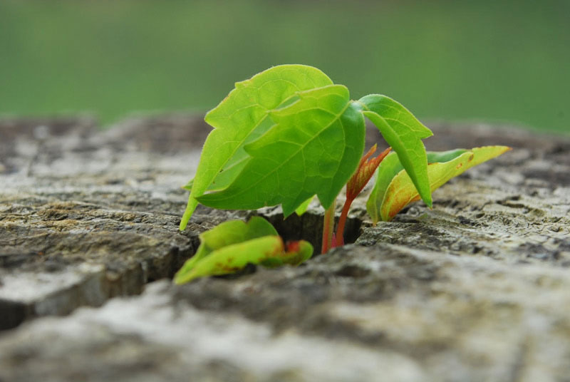 Hình ảnh niềm tin Hình ảnh niềm tin