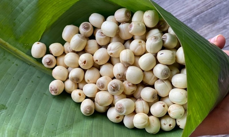 Cách nấu cháo ếch hạt sen cho bé ăn dặm