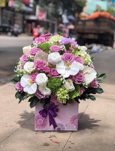 Hoa đẹp chúc mừng ngày 20/10