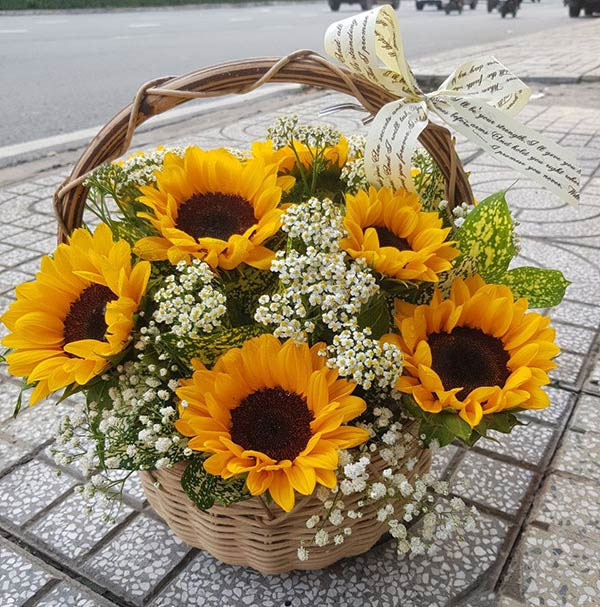 Những hình ảnh hoa chúc mừng 20.11 đẹp Những hình ảnh hoa chúc mừng 20.11 đẹp