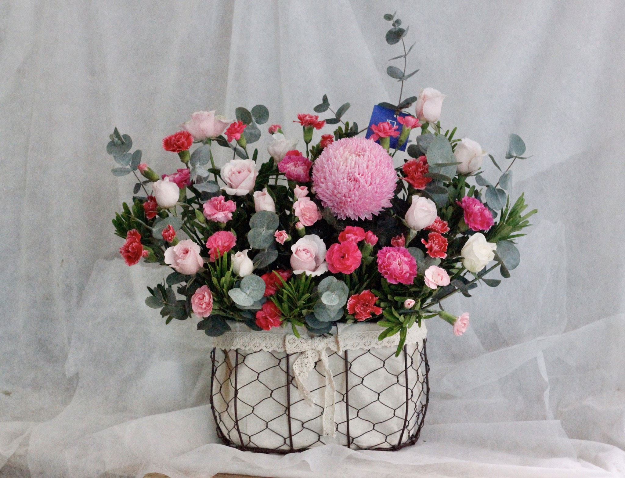 Những hình ảnh hoa chúc mừng 20.11 đẹp Những hình ảnh hoa chúc mừng 20.11 đẹp