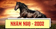 Sinh năm 2002 mệnh gì, tuổi con gì, hợp với màu gì?