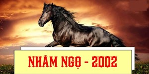 Sinh năm 2002 mệnh gì, tuổi con gì, hợp với màu gì?