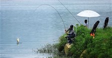 Câu Đài là gì? Phụ kiện và kỹ thuật câu Đài