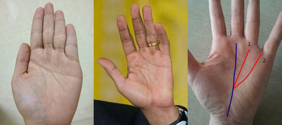 Khám phá những đường chỉ tay lạ, các đường chỉ tay đặc biệt Khám phá những đường chỉ tay lạ, các đường chỉ tay đặc biệt