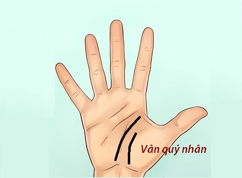 Đường chỉ tay có quý nhân phù trợ Đường chỉ tay có quý nhân phù trợ