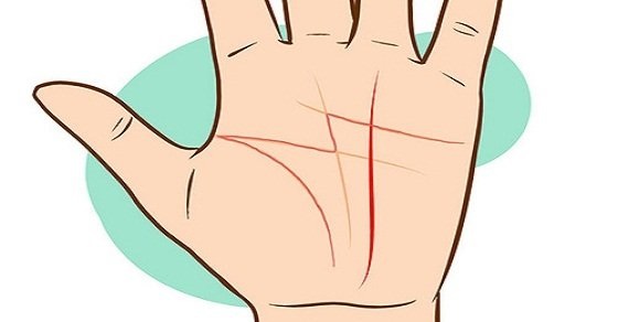 Đường chỉ tay chữ M Đường chỉ tay chữ M