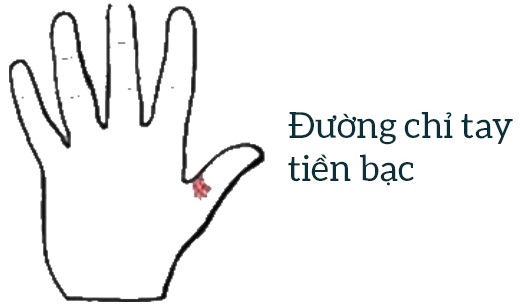 Đường chỉ tay tiền bạc Đường chỉ tay tiền bạc