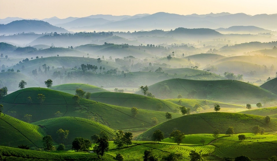 Vị trí địa lý của tỉnh Phú Thọ Vị trí địa lý của tỉnh Phú Thọ