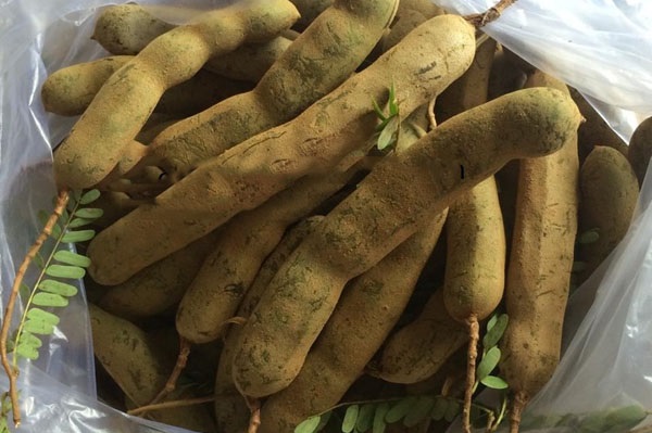 Cách làm me ngâm đường giải khát ngon, không bị đen đơn giản Cách làm me ngâm đường giải khát ngon, không bị đen đơn giản