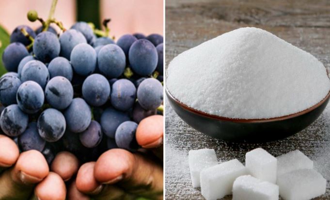 Cách làm rượu nho