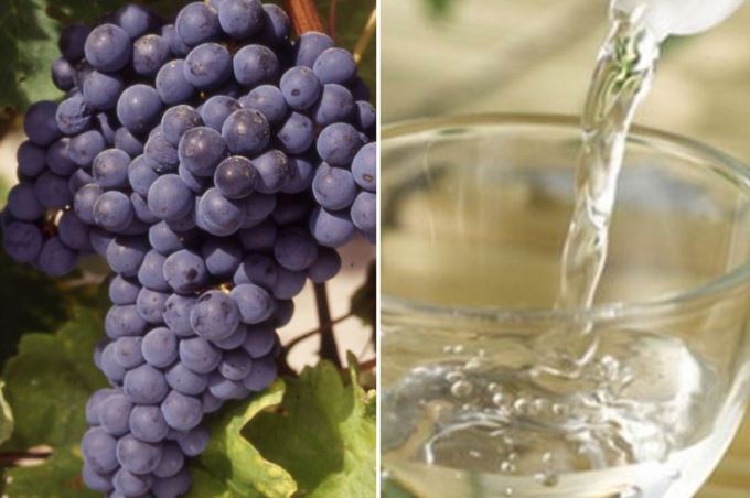 Cách ngâm nho với rượu trắng