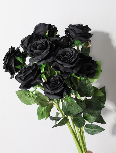 Hoa hồng đen