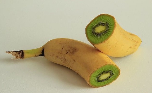 Bộ ảnh trái cây troll thay ruột