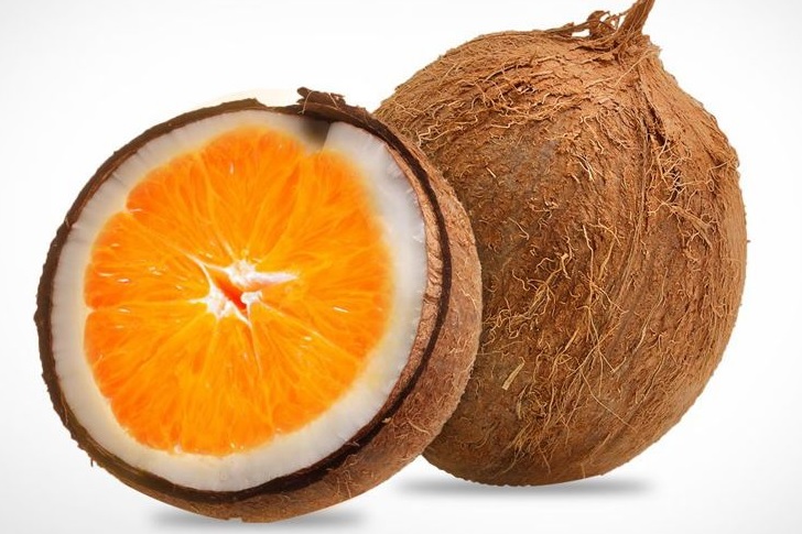 Bộ ảnh trái cây troll thay ruột