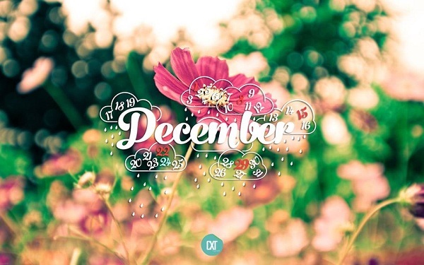 Stt chào tháng 12 Stt chào tháng 12