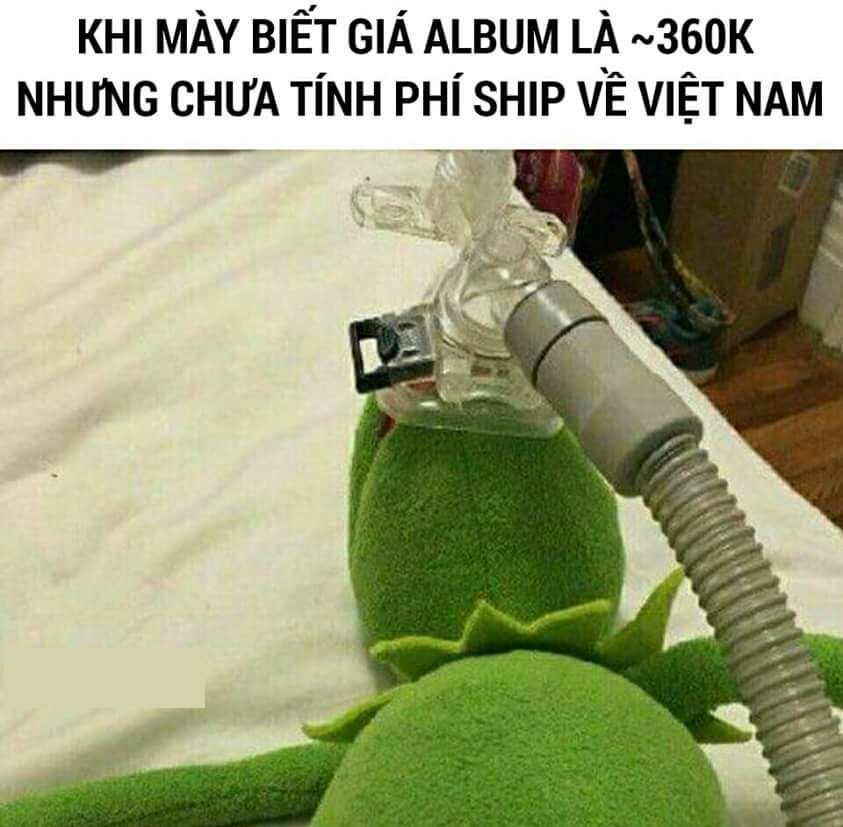 Meme ếch xanh Meme ếch xanh