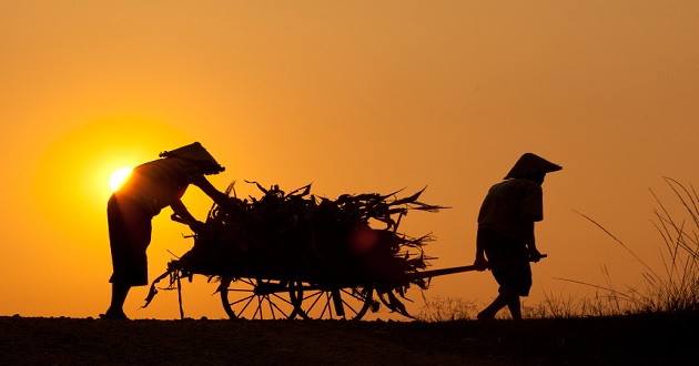 Thơ ca dao có chữ thương Thơ ca dao có chữ thương