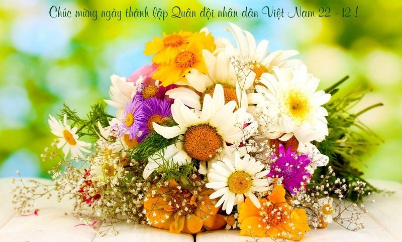 Thiệp chúc mừng 22 tháng 12