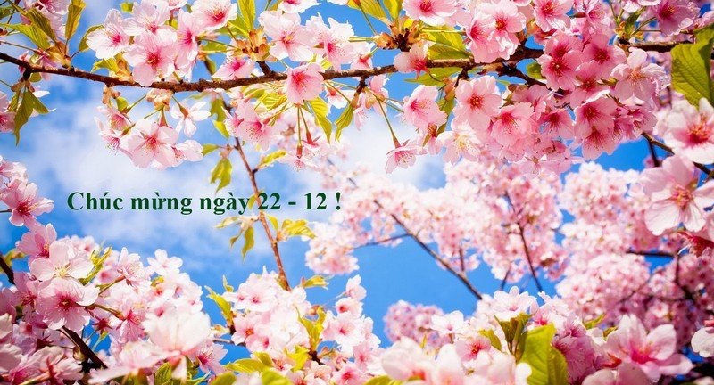 Thiệp chúc mừng ngày Quân đội Nhân dân Việt Nam