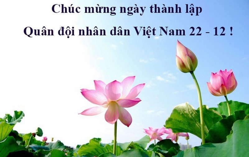 Mẫu thiệp chúc mừng ngày 22 tháng 12 đẹp, ý nghĩa nhất
