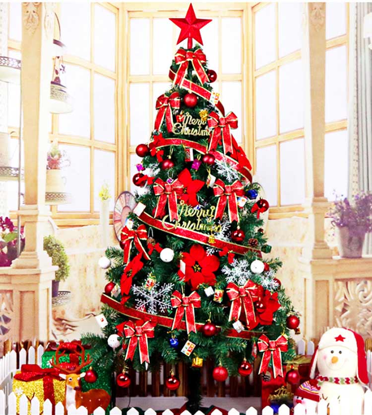 Hình ảnh cây thông Noel đẹp
