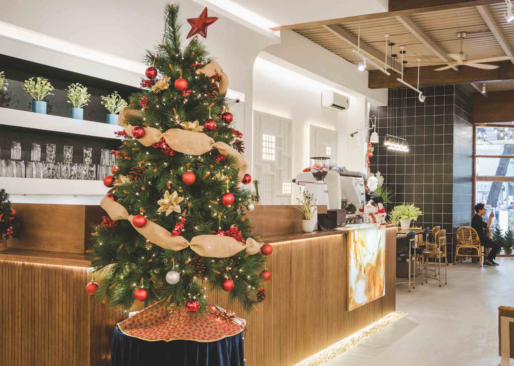 Hình ảnh cây thông Giáng Sinh Hình ảnh cây thông Giáng Sinh