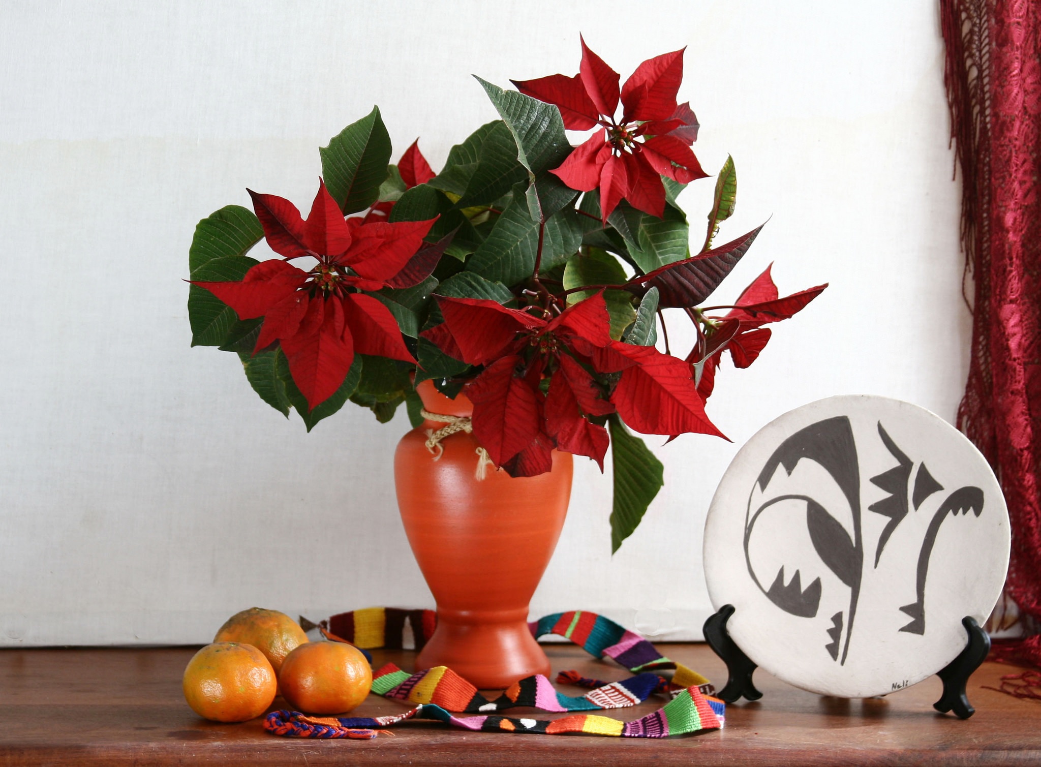 Cây hoa trạng nguyên Cây hoa trạng nguyên