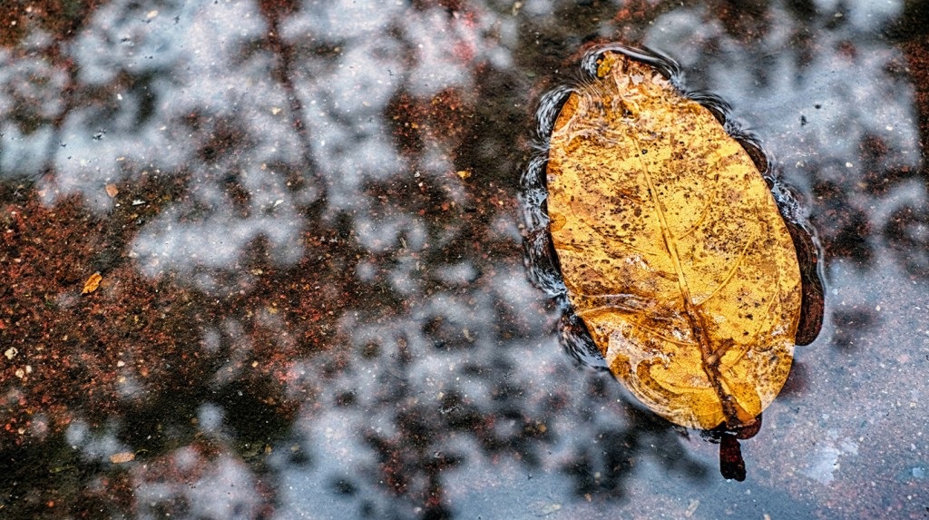 Stt lạnh nhớ người yêu