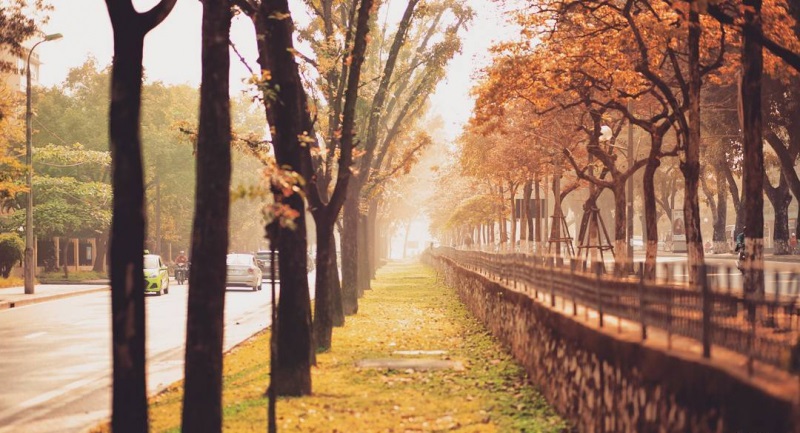 Những câu nói hay về trời lạnh