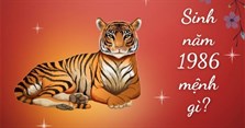 Sinh năm 1986 mệnh gì, tuổi con gì, hợp màu gì, cây gì?