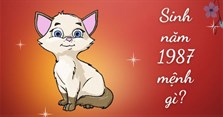Sinh năm 1987 mệnh gì, tuổi con gì, hợp màu gì, cây gì?