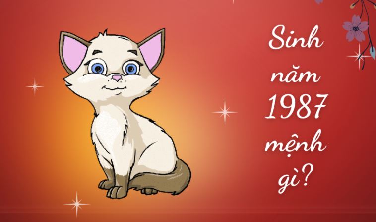 Sinh năm 1987 mệnh gì?