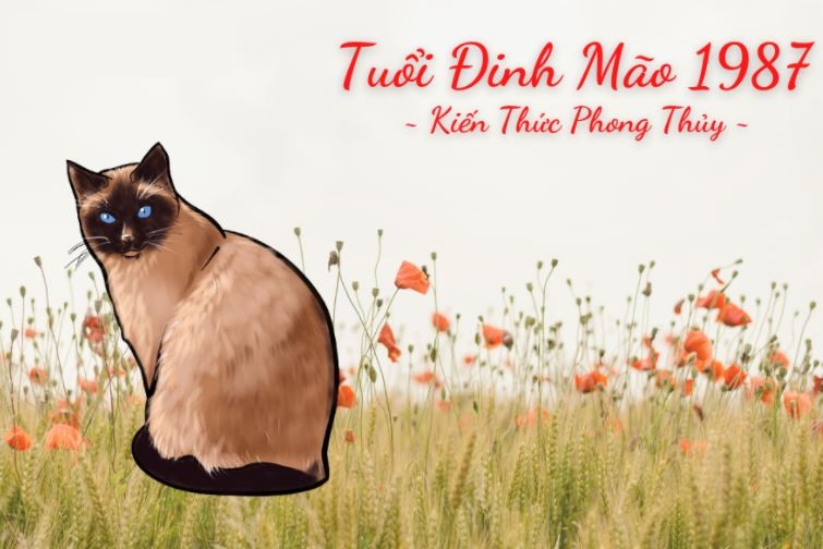Sinh năm 1987 tuổi gì?