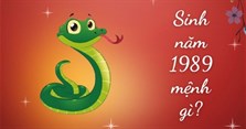 Sinh năm 1989 mệnh gì, là tuổi con gì, hợp màu gì?