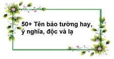 50+ Tên báo tường hay, ý nghĩa, độc và lạ