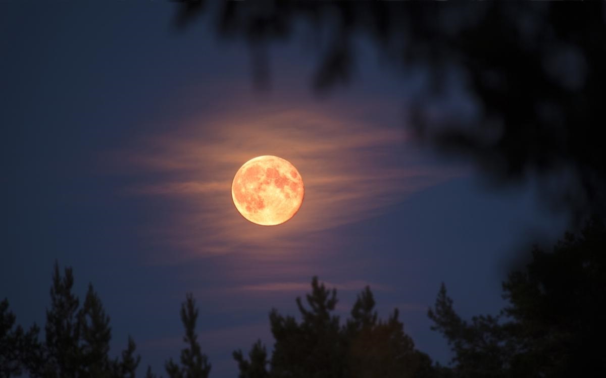 Hình ảnh nguyệt thực đẹp nhất