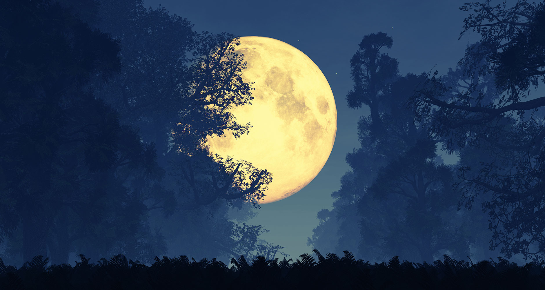 Hình ảnh nguyệt thực đẹp nhất