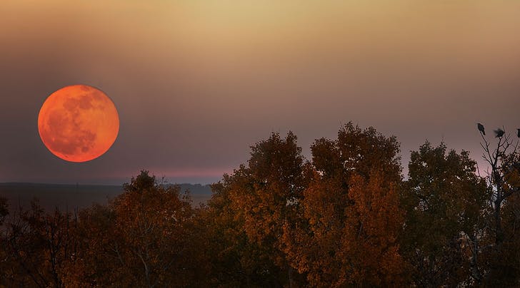 Hình ảnh nguyệt thực đẹp nhất