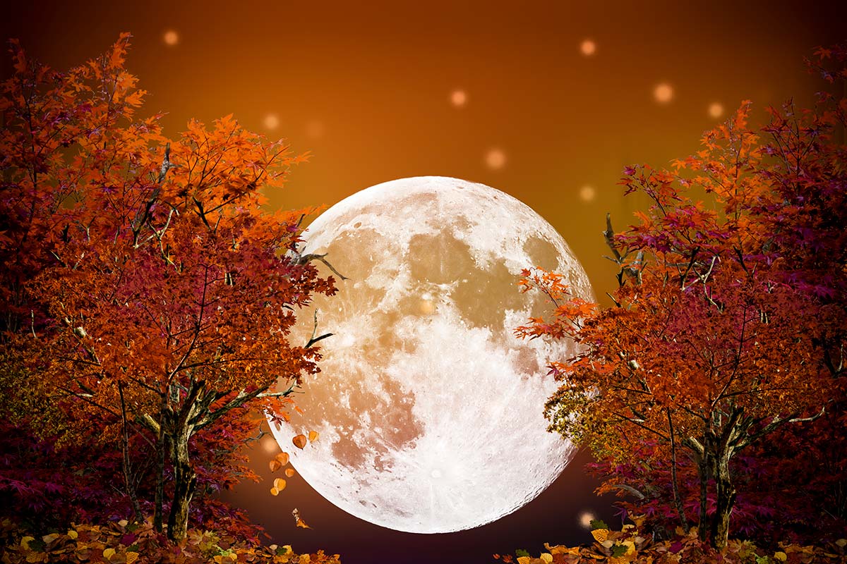 Hình ảnh nguyệt thực đẹp nhất