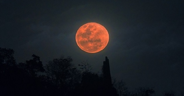 Nguyệt thực là gì