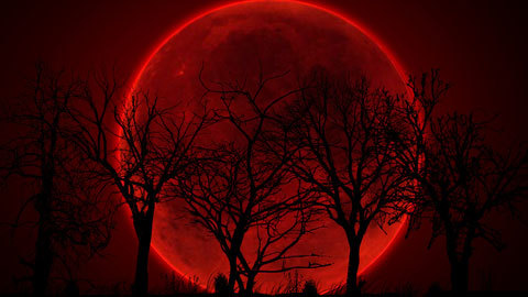 Nguyệt thực toàn phần 2021